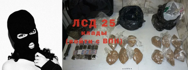 стаф Арсеньев