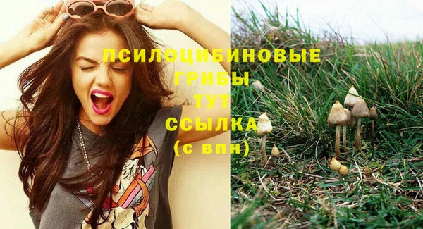 амф Армянск