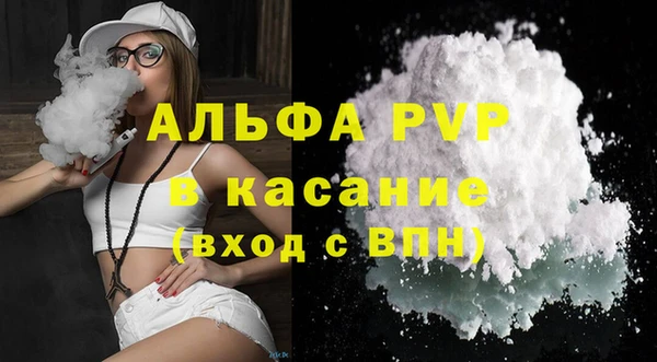 стаф Арсеньев