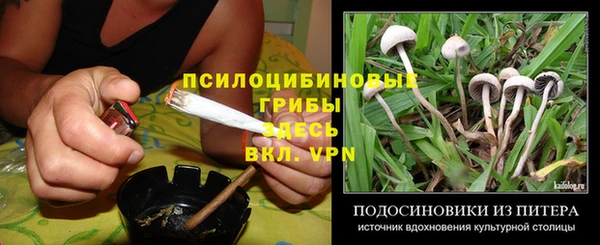 стаф Арсеньев