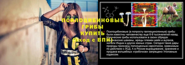 стаф Арсеньев