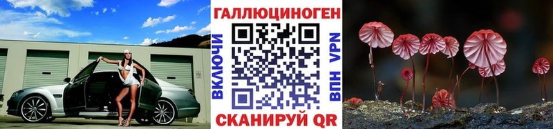 Галлюциногенные грибы GOLDEN TEACHER  хочу наркоту  Тутаев 